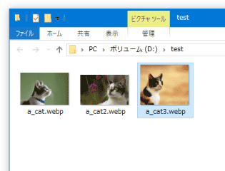 WebP Codec スクリーンショット