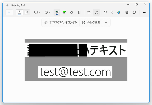 選択したテキストを黒塗りにすることも可能