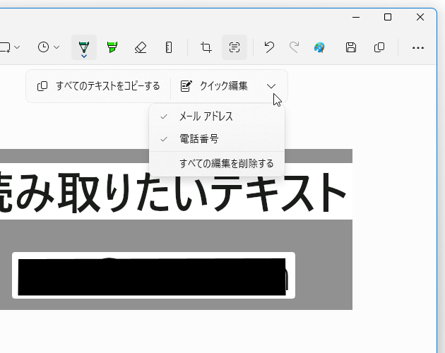 黒塗りにする情報を変更することもできる