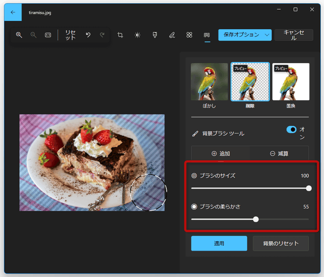 ブラシのサイズややわらかさを調整することもできる