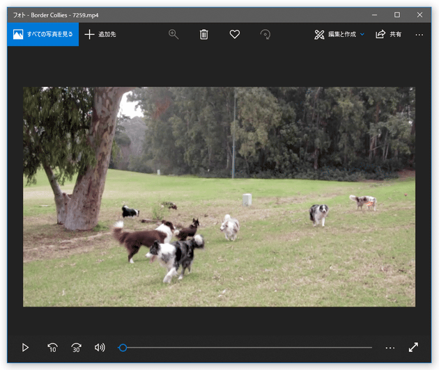 保存された動画ファイルが、「フォト レガシ」アプリで表示される