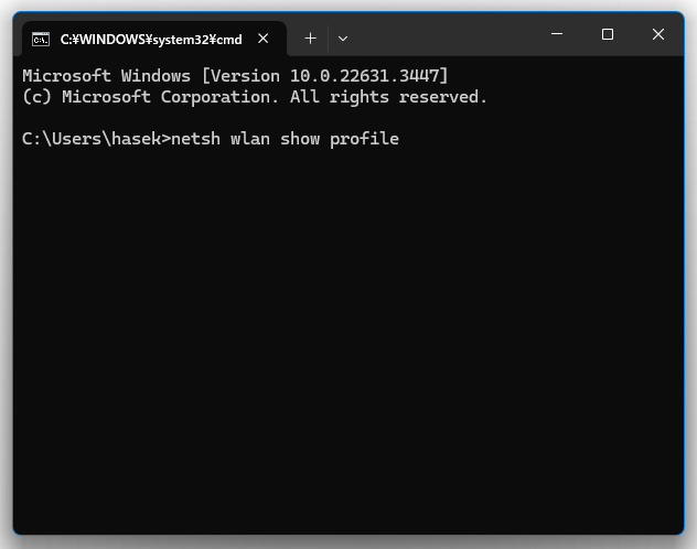 「netsh wlan show profile」と入力して「Enter」キーを押す