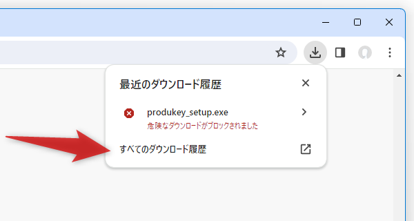 「すべてのダウンロード履歴」を選択する