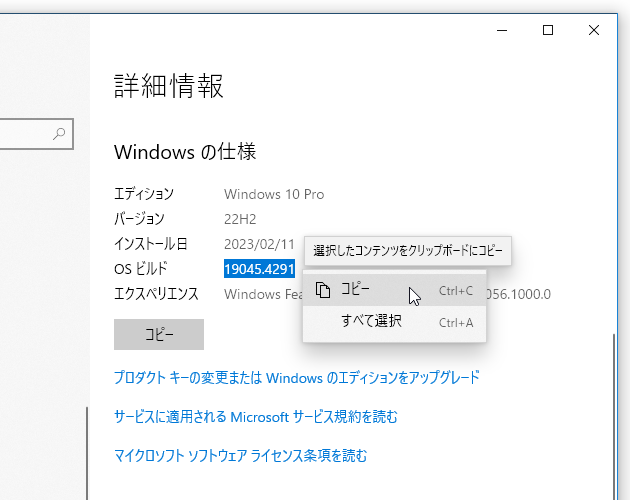 各情報は、普通に選択してコピーすることができる