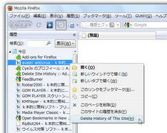 Delete Site History スクリーンショット