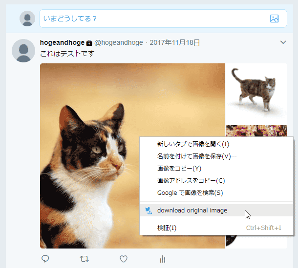 画像を右クリックし、「download original image」を選択