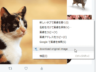 Twitter Image Downloader スクリーンショット