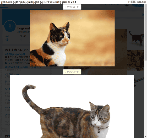 原寸大の画像が表示される