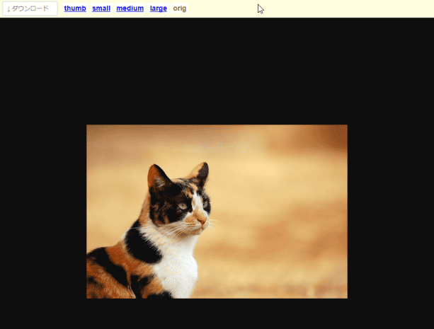 画像を単独で表示させた場合