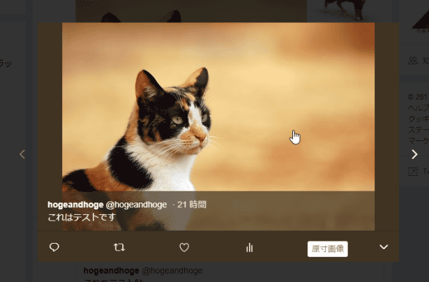 原寸大の画像が表示される