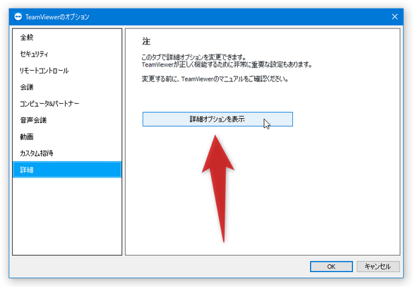 左メニュー内の「詳細」を選択し、画面右側の「詳細オプションを表示」ボタンをクリックする