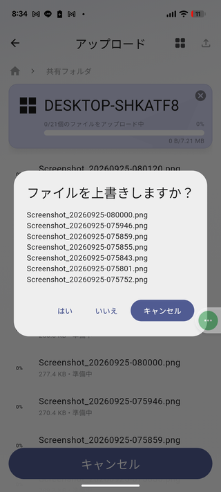 ファイルを上書きしますか？