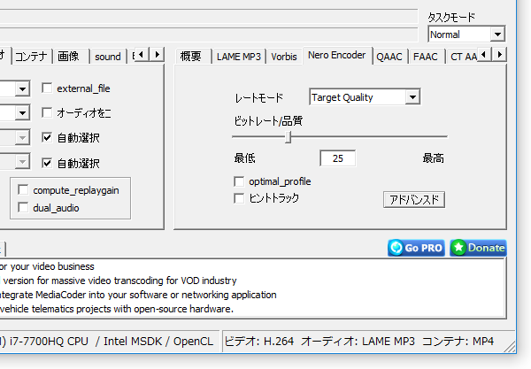 Nero Encoder の詳細設定