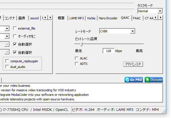 QAAC の詳細設定