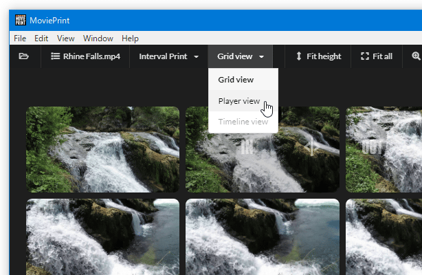 画面上部の「Grid view」をクリックして「Player view」を選択する