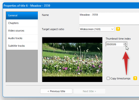 「Thumbnail time index」欄で、サムネイル内に表示させる場面の再生時間を指定することができる