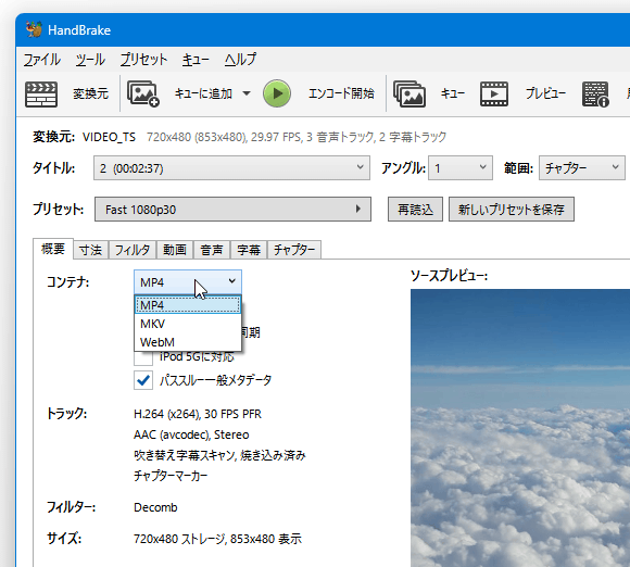 MP4 / MKV / WebM にすることができる