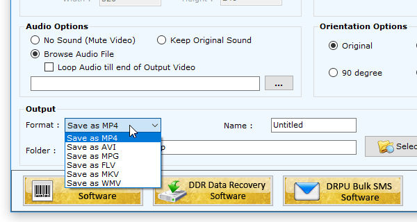 「Format」欄で出力動画のフォーマットを選択する