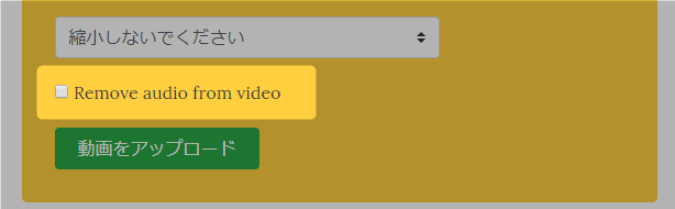 動画の音声を削除したい時は、「Remove audio from video」にチェックを入れる