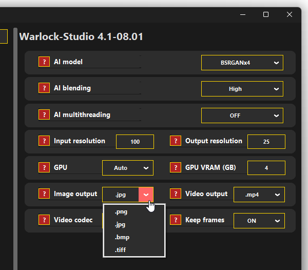 「Image output」欄で、画像の出力フォーマットを指定する