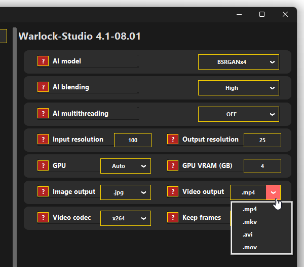 「Video output」欄で、出力動画のフォーマットを指定する