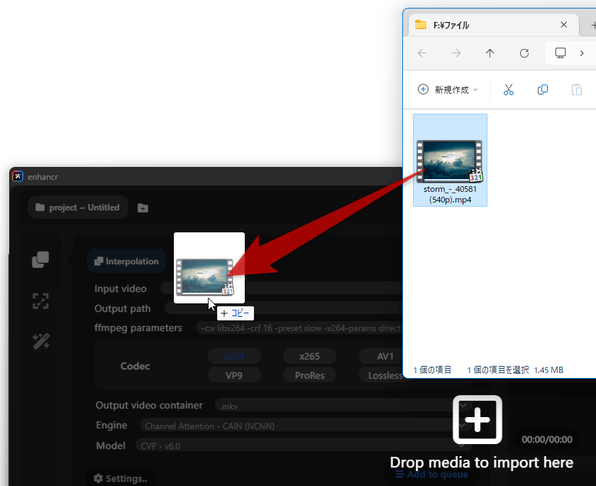 「Input video」欄に、処理する動画ファイルをドラッグ＆ドロップする