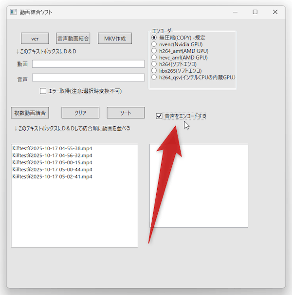 「音声をエンコードする」にチェックを入れる