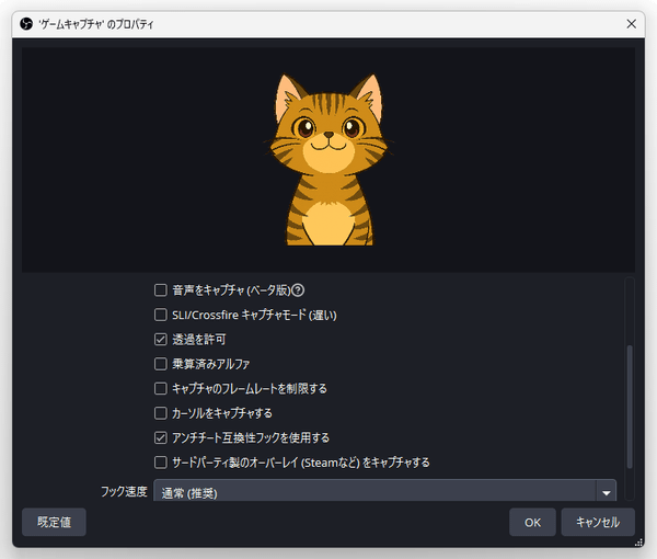 その他のオプション