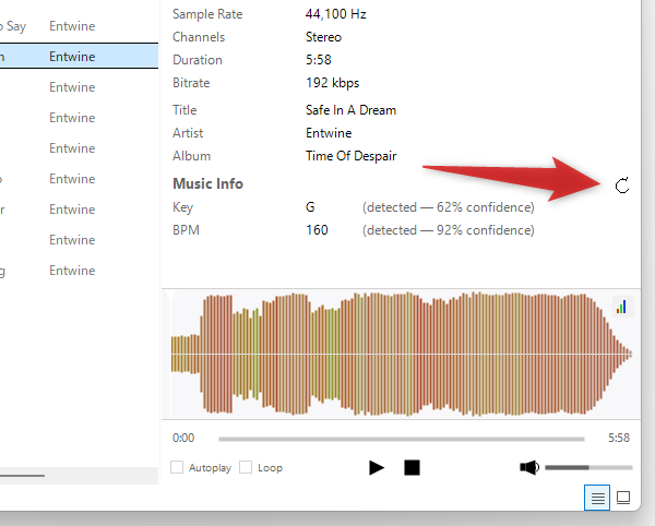 「Autoplay」「Loop」オプション