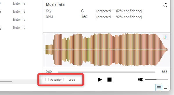 「Autoplay」「Loop」オプション