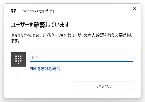 PIN 入力画面