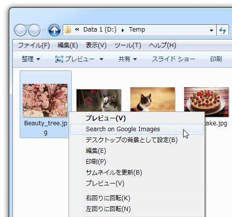 画像を右クリックし、「Search on Google Images」を選択