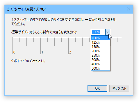 カスタムサイズ変更オプション