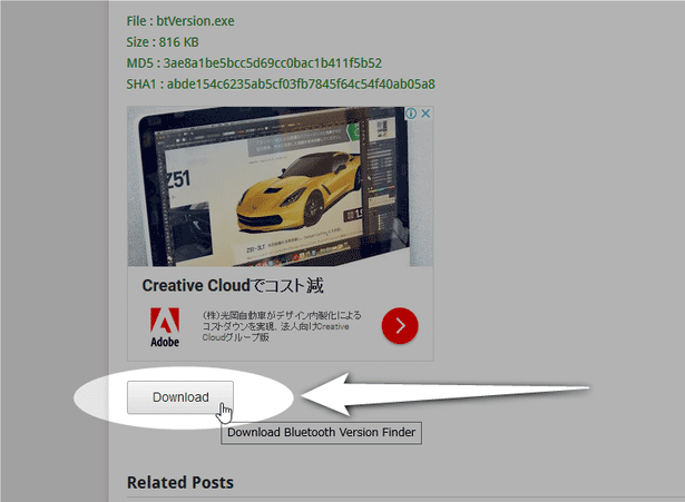 「Related Posts」欄の上にある「Download」ボタンをクリックする