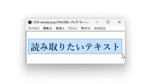 読み取りたいテキストを囲む