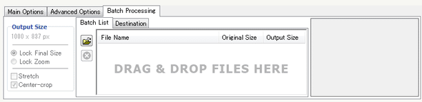 「Batch Processing」タブ
