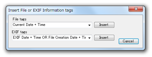 Insert File or EXIF Information tags