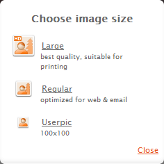 「Large」or「Regular」or「Userpic」を選択する