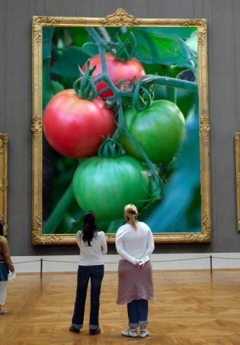 Your photos in art museums