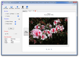 Robust Motion Deblurring System スクリーンショット