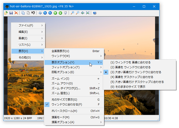 表示オプション