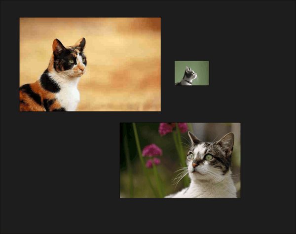 ドロップした画像のサイズがバラバラ