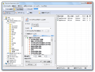 Flexible Renamer スクリーンショット