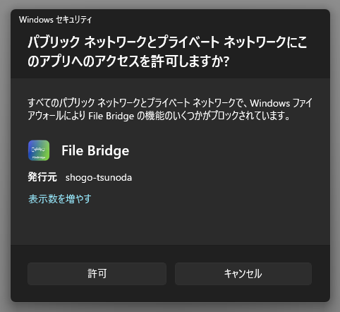 パブリック ネットワークとプライベート ネットワークにこのアプリへのアクセスを許可しますか？