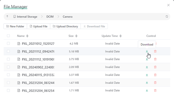 File Manager