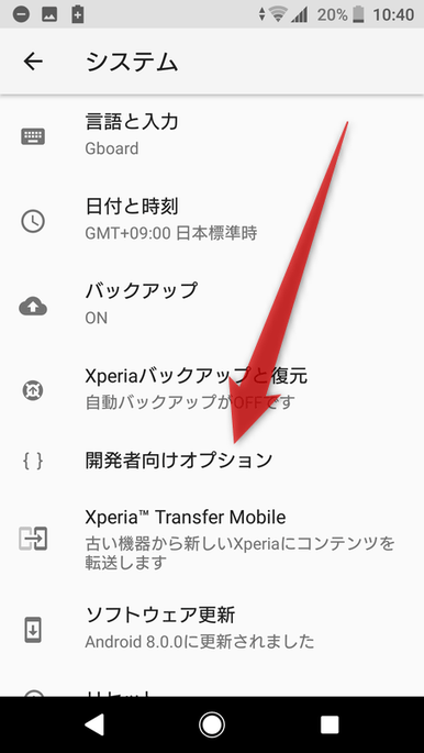 「開発者向けオプション」をタップする